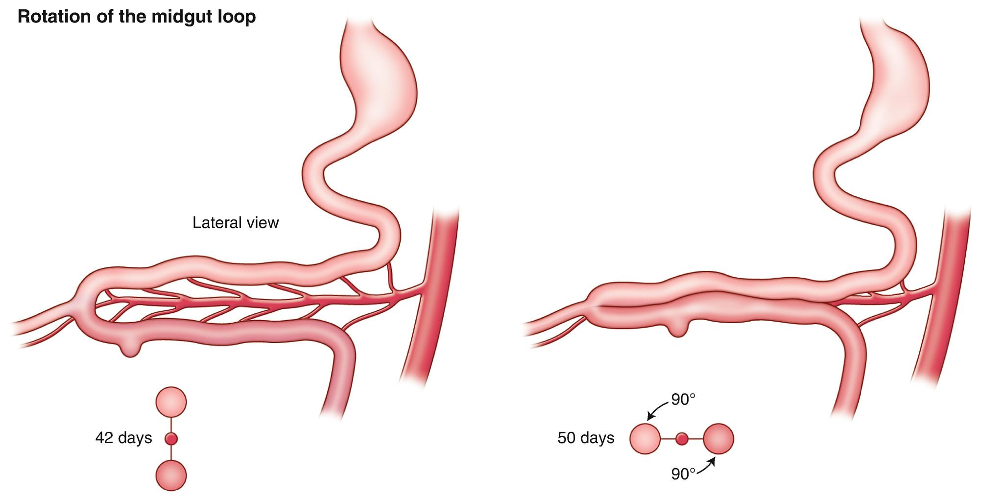 Descriptive text is not available for this image