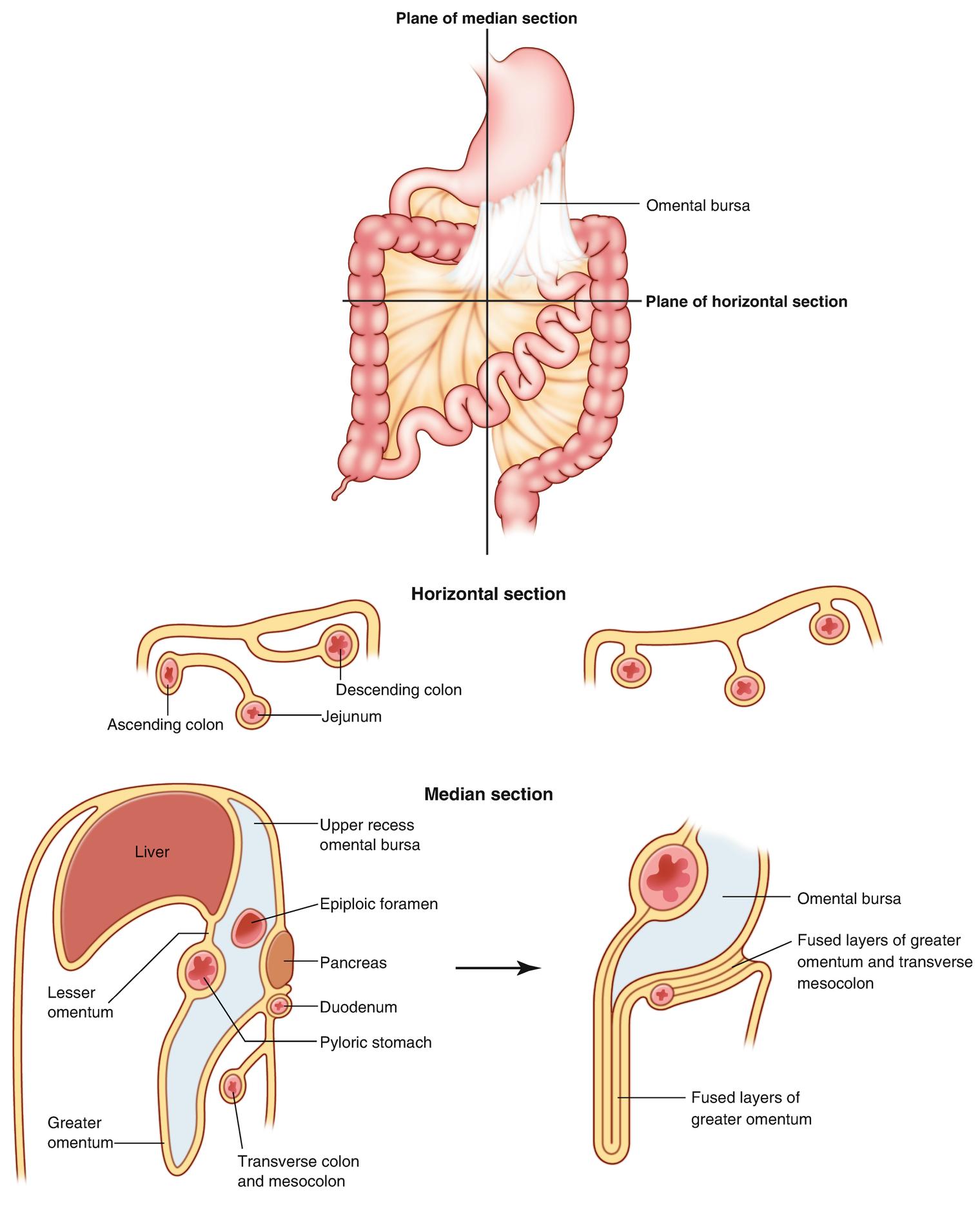 Descriptive text is not available for this image