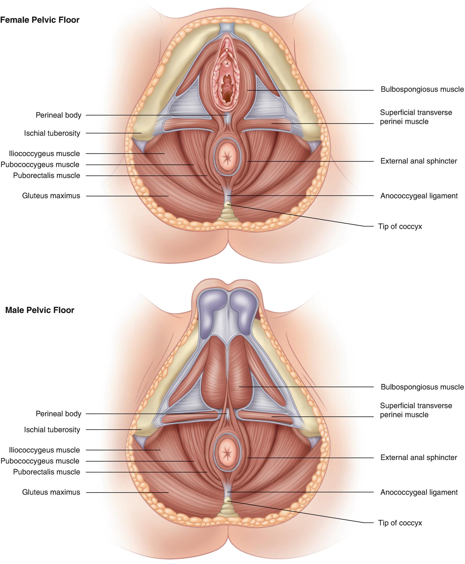 Descriptive text is not available for this image