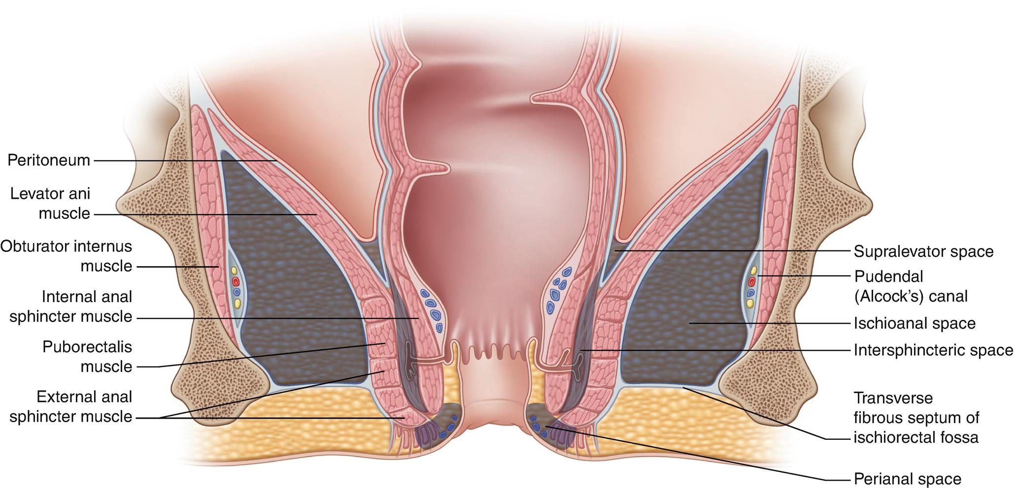 Descriptive text is not available for this image