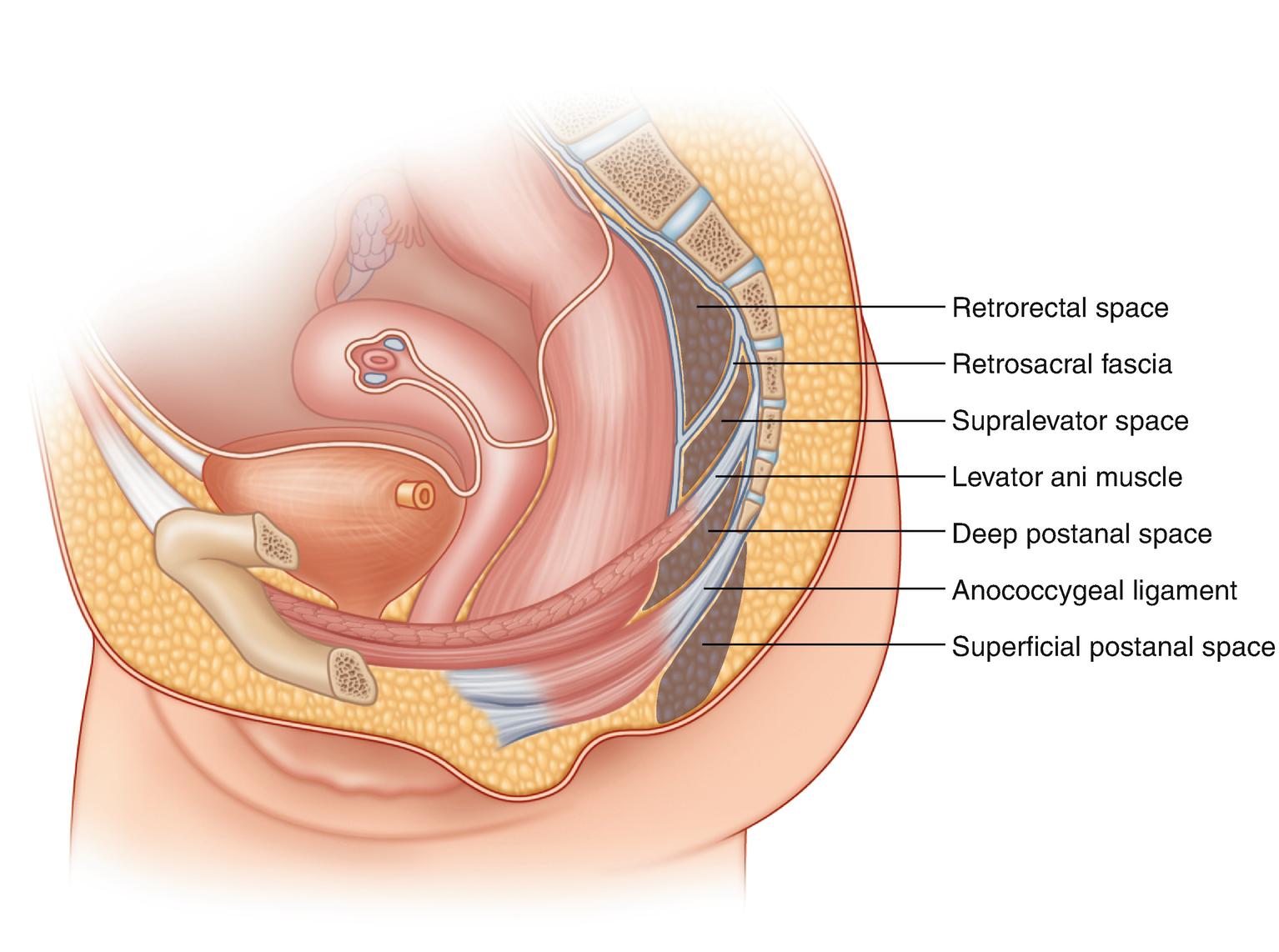 Descriptive text is not available for this image